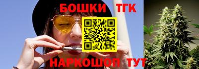 индика Новозыбков