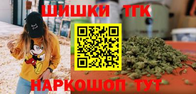 индика Новозыбков