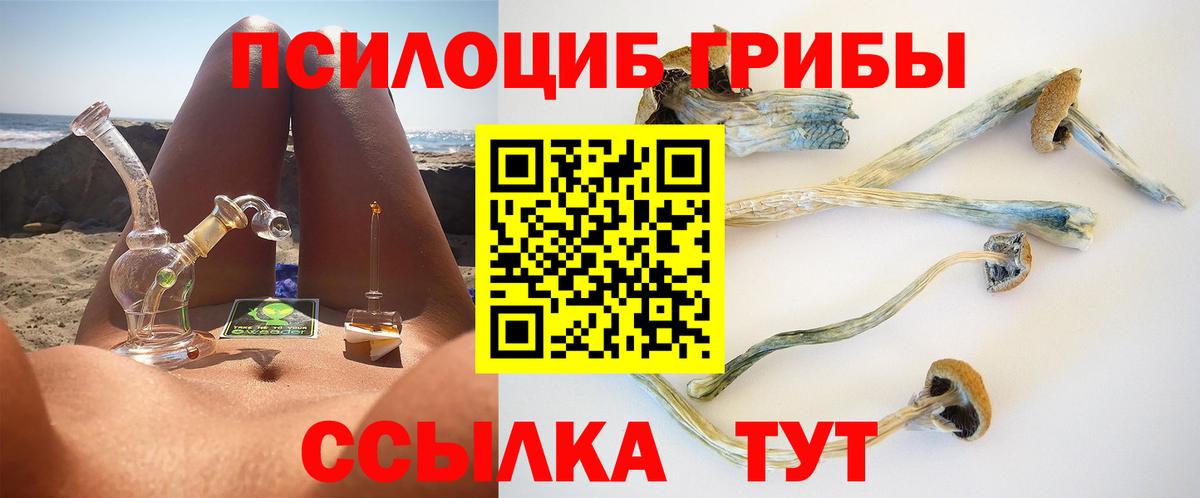 Псилоцибиновые грибы MAGIC MUSHROOMS  Вход с VPN  Галлюциногенные грибы MAGIC MUSHROOMS  Новокубанск 