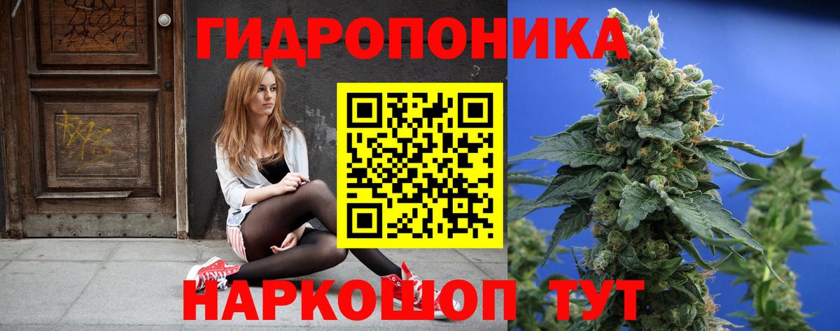 Марихуана план  Каннабис сатива  Бошки марихуана White Widow  Вход с VPN  Новокубанск 